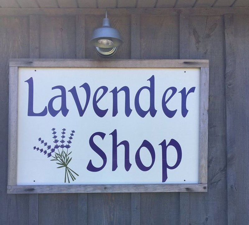 High County Lavendar Farm & Shop sign